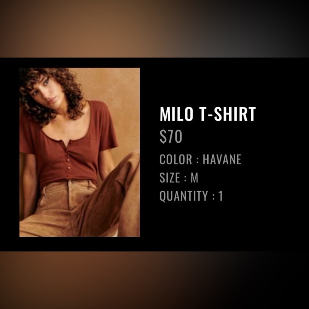 Sezane Milo T-Shirt in Havane (rust)